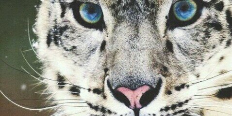sheyligarcia_'s profile banner image