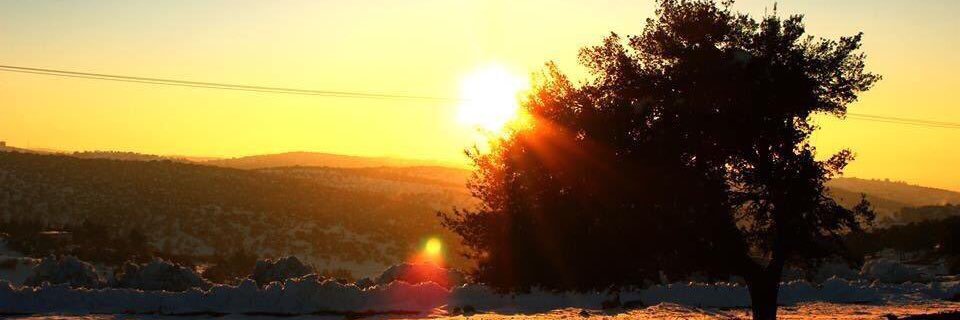 SamaAlotaibi's profile banner image