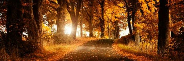 303Nader's profile banner image