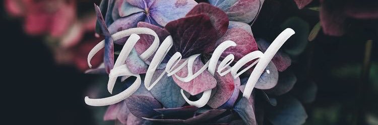 monisso's profile banner image