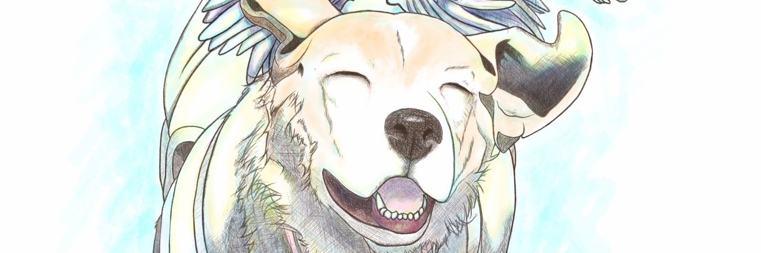 ビーグル好きの旅人（ガンサバイバー/オストメイト）🐶🐶🇯🇵💙💛🕊🕊 banner