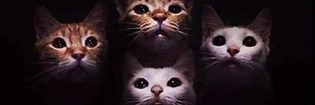 ab_ind's profile banner image