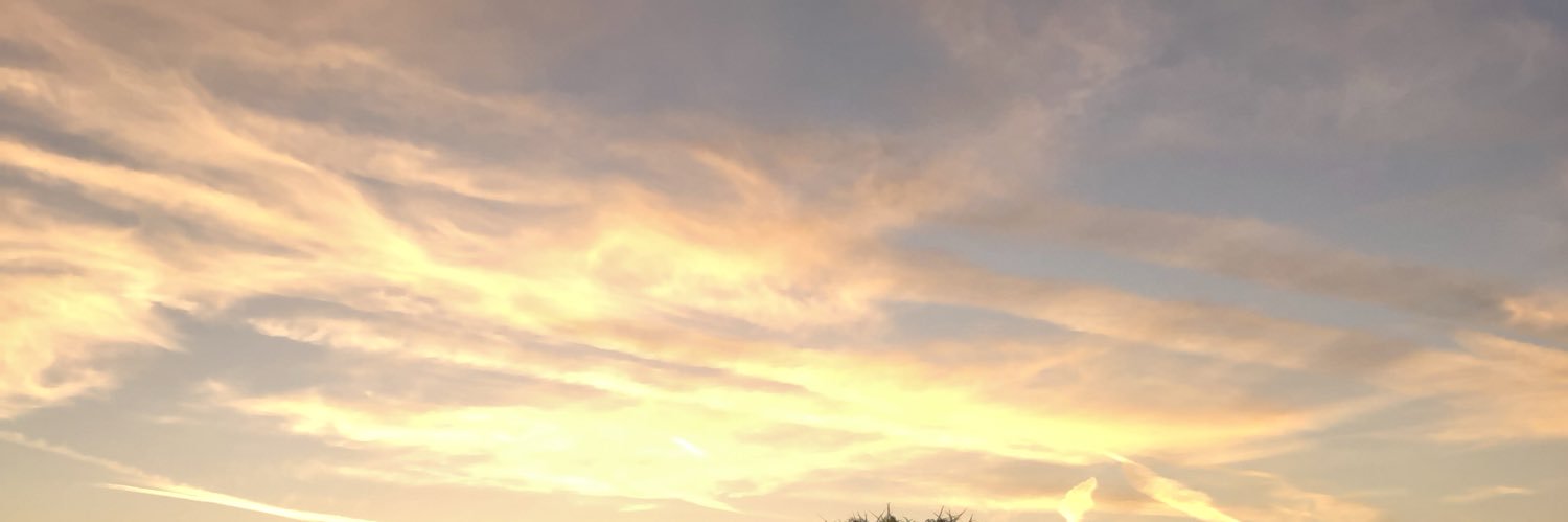 kittykatebe's profile banner image