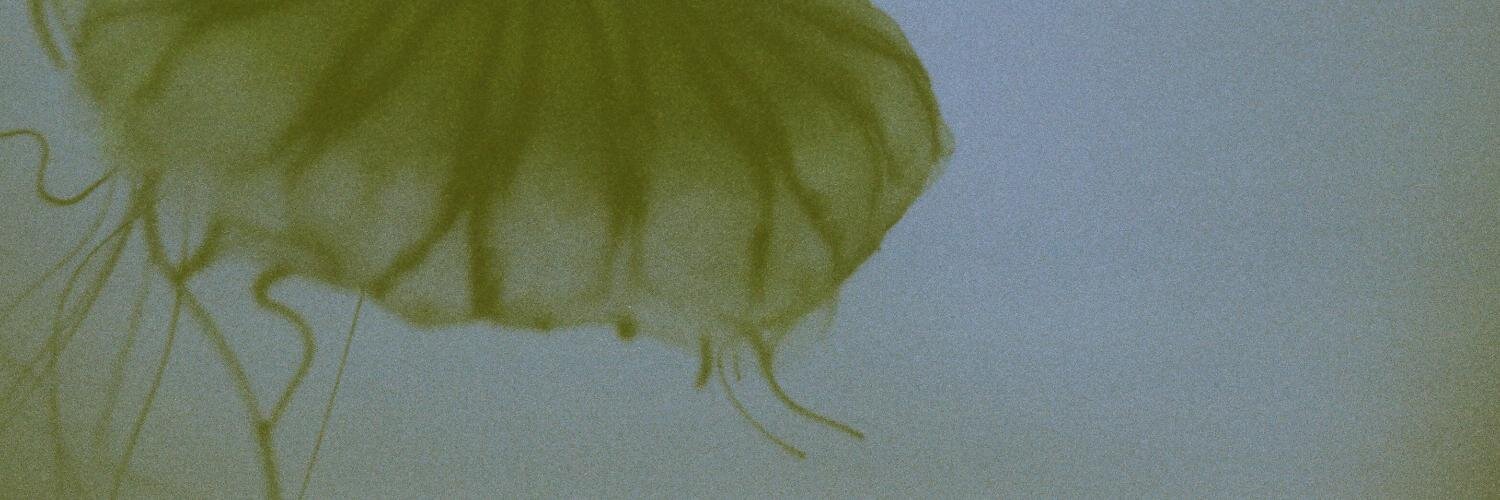 enonce's profile banner image