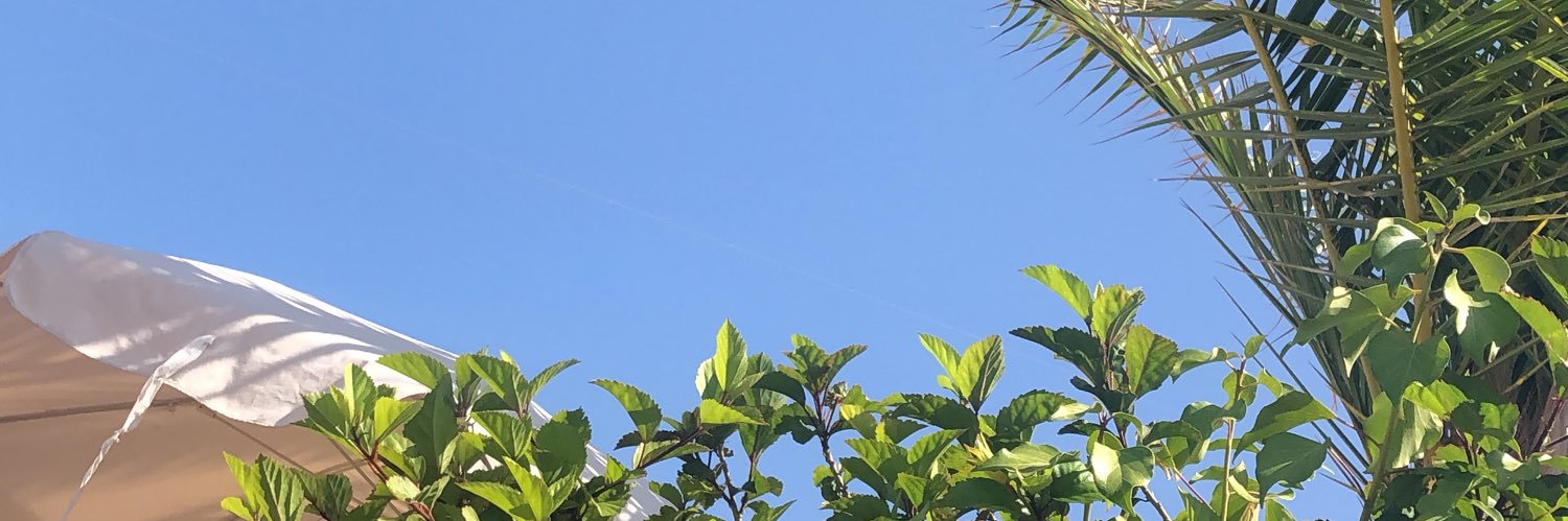 nevecaddick's profile banner image