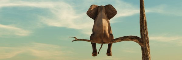 jmcambot Profile Banner