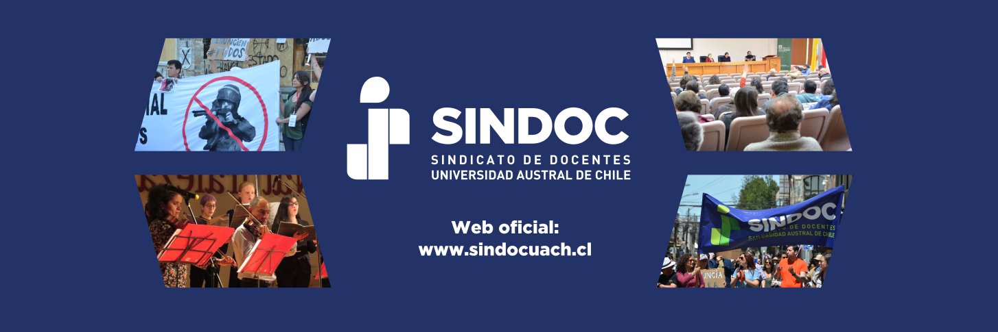 SINDOC UACh banner