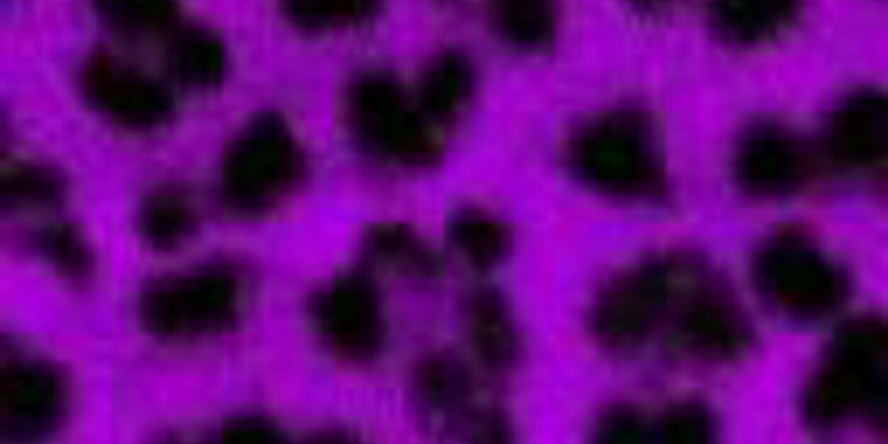 HeavenlySent90's profile banner image