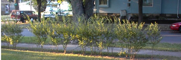 TeebENooks's profile banner image
