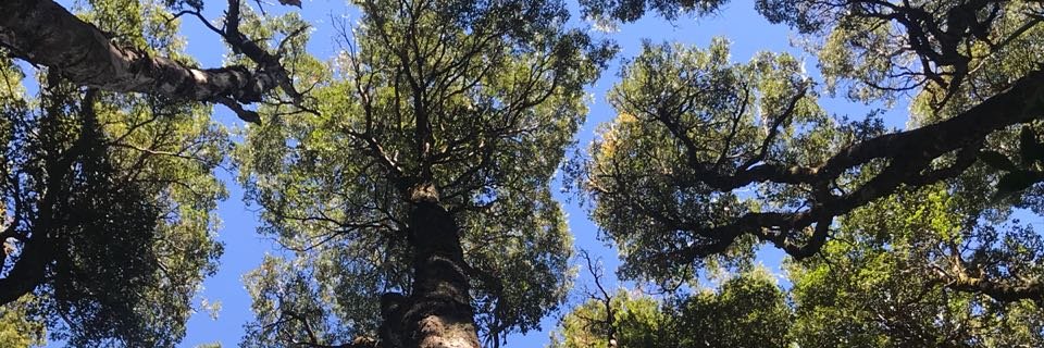 barbykomarovsky's profile banner image