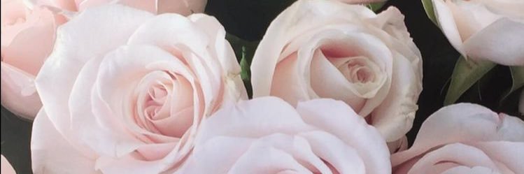 entouena's profile banner image