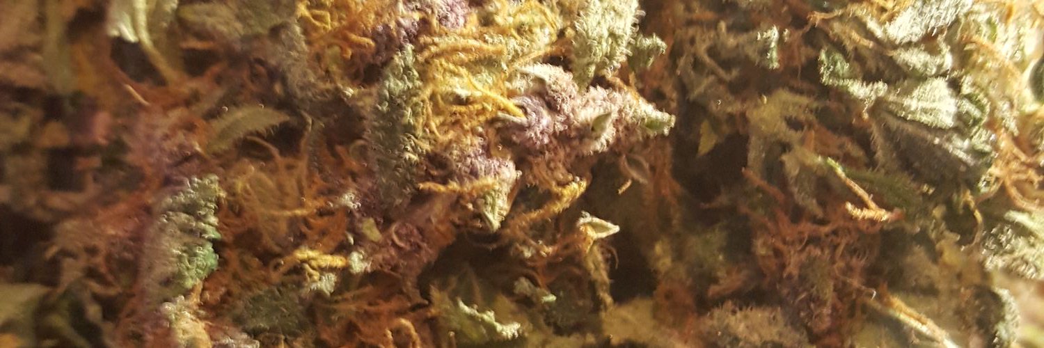 RchHomieRico's profile banner image
