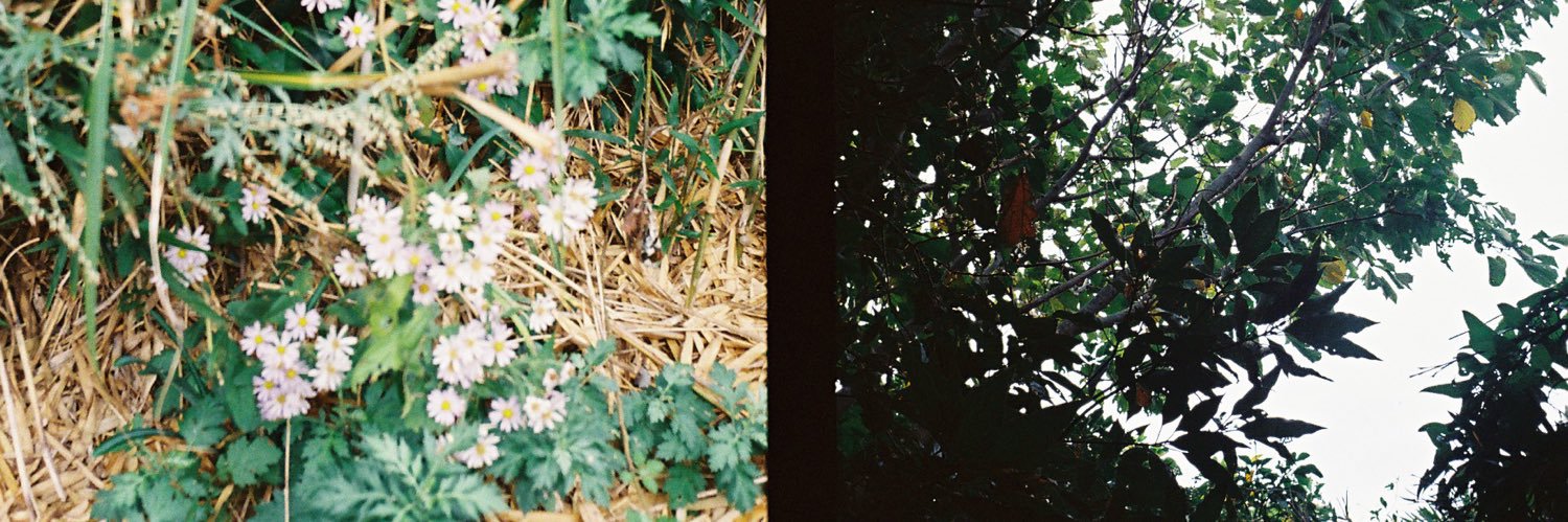 ﾖｼﾊﾗ ﾐｽﾞﾎ banner