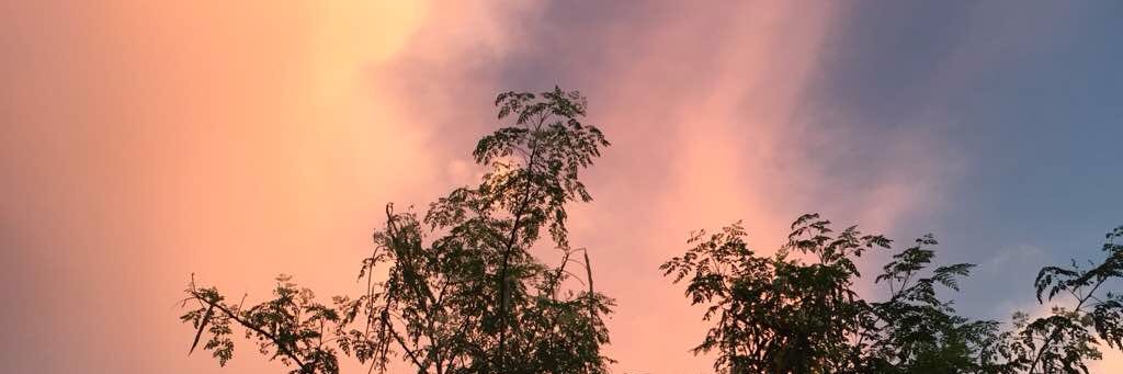 AndreaDjankovic's profile banner image