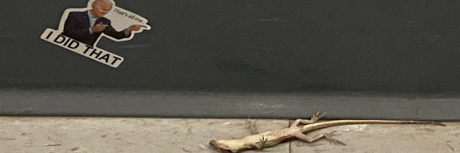 Insert Name Here banner