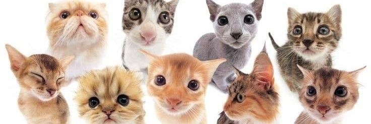 ewchrise's profile banner image