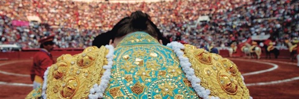 lacostaznar's profile banner image