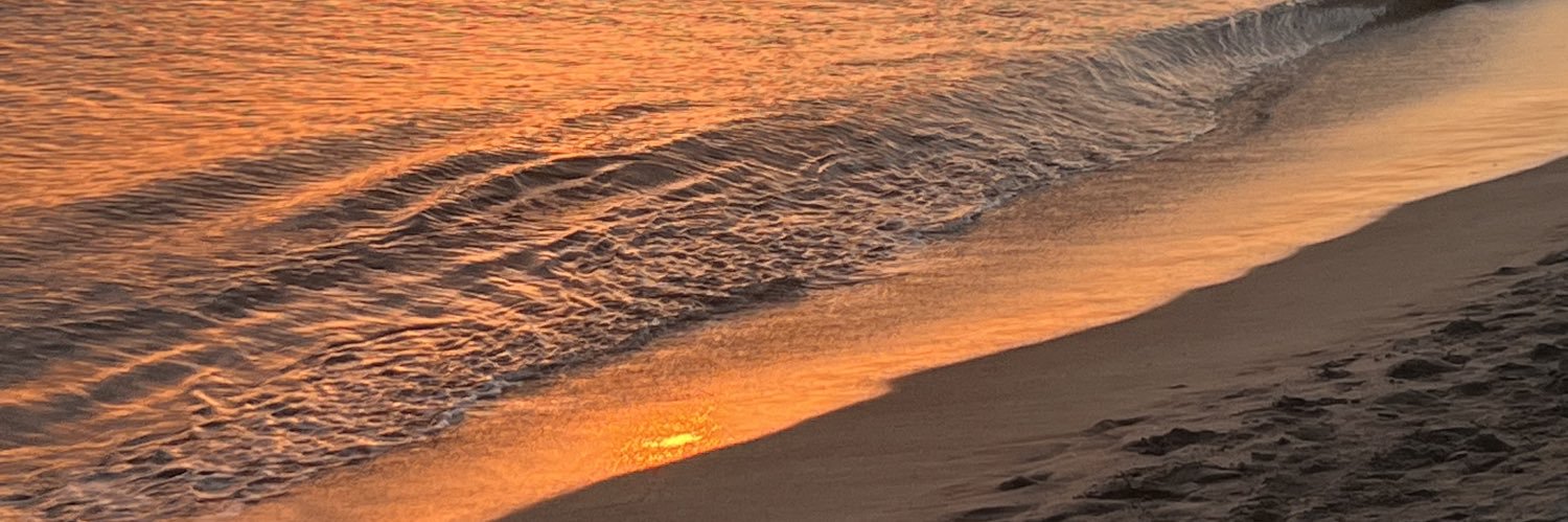 eleouvecorta's profile banner image
