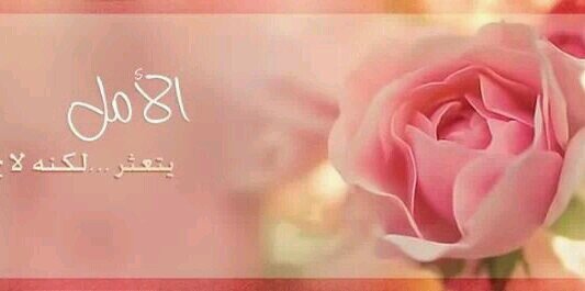 NadaAlsagaf's profile banner image