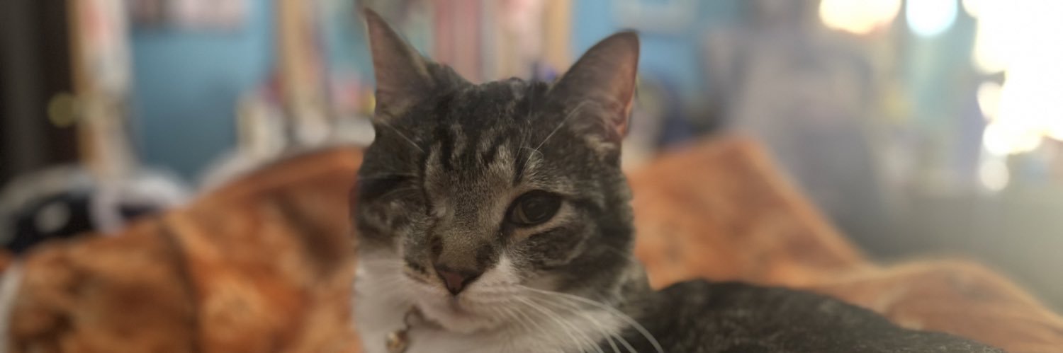 SmolLocalTrash's profile banner image