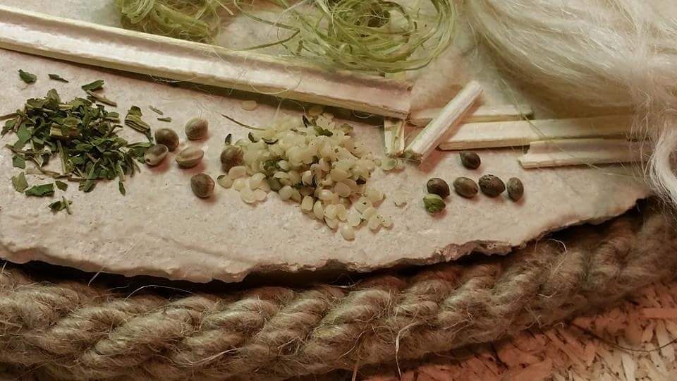 HempHealthy2Day's profile banner image