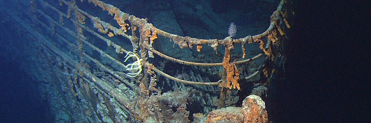 CrabPalace's profile banner image