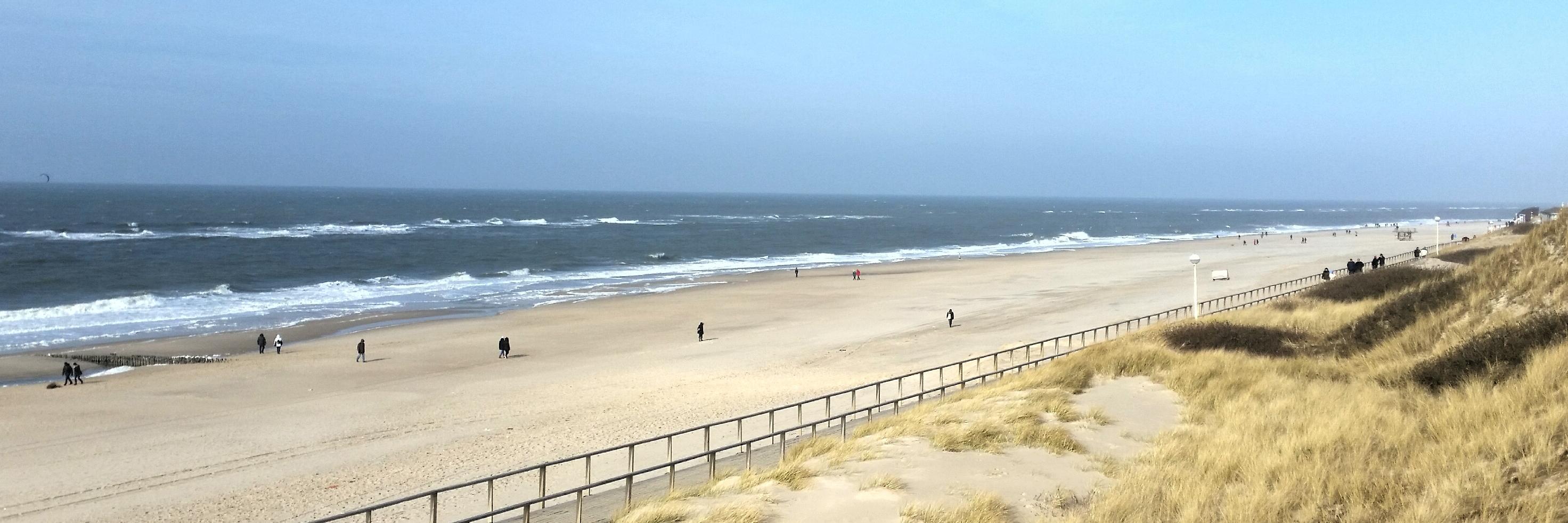 Maika-A. Stangenberg banner