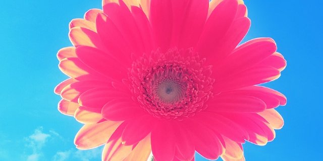 jolandapris's profile banner image