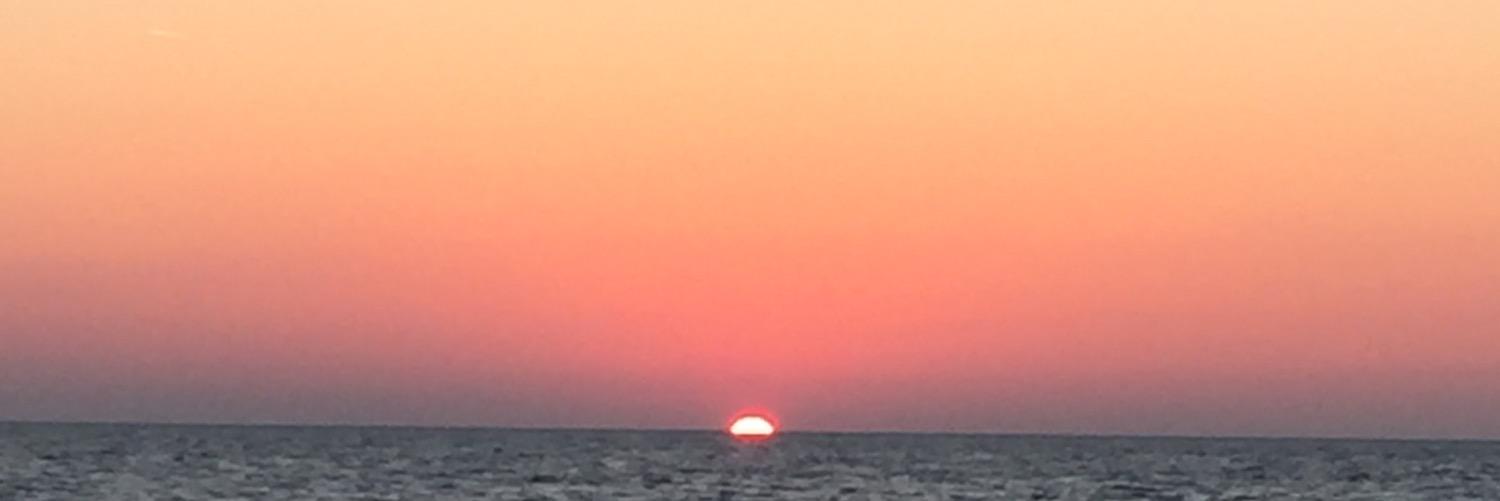 ZeeZimz's profile banner image