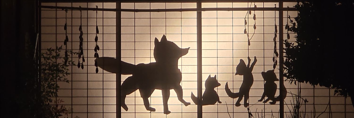kntll's profile banner image