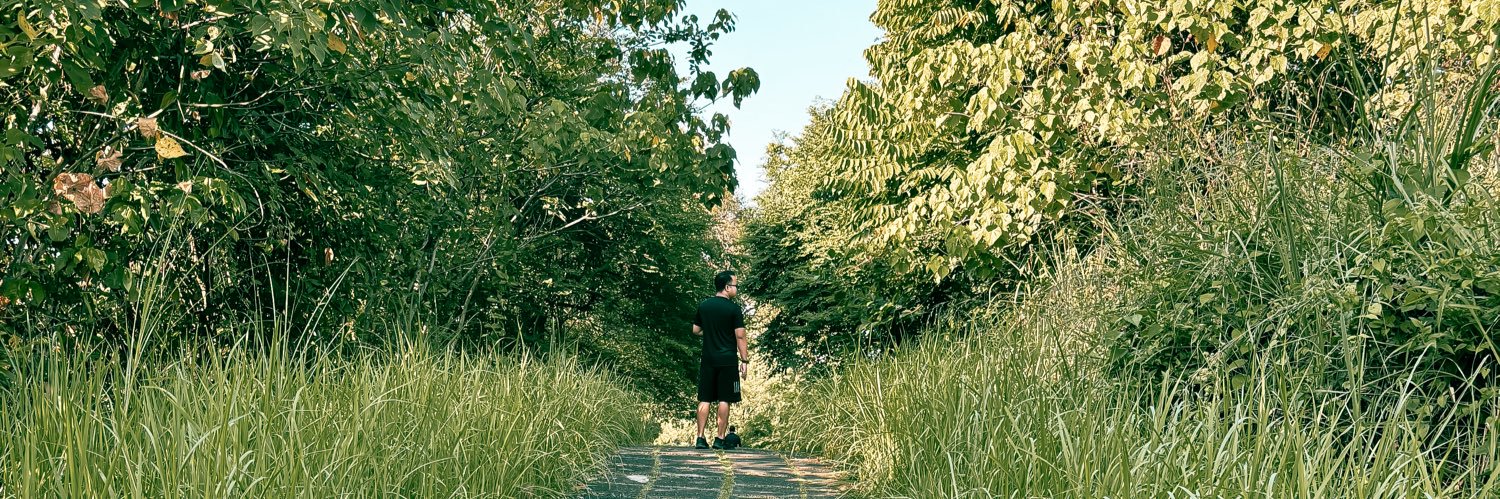 Free 🇵🇸 banner