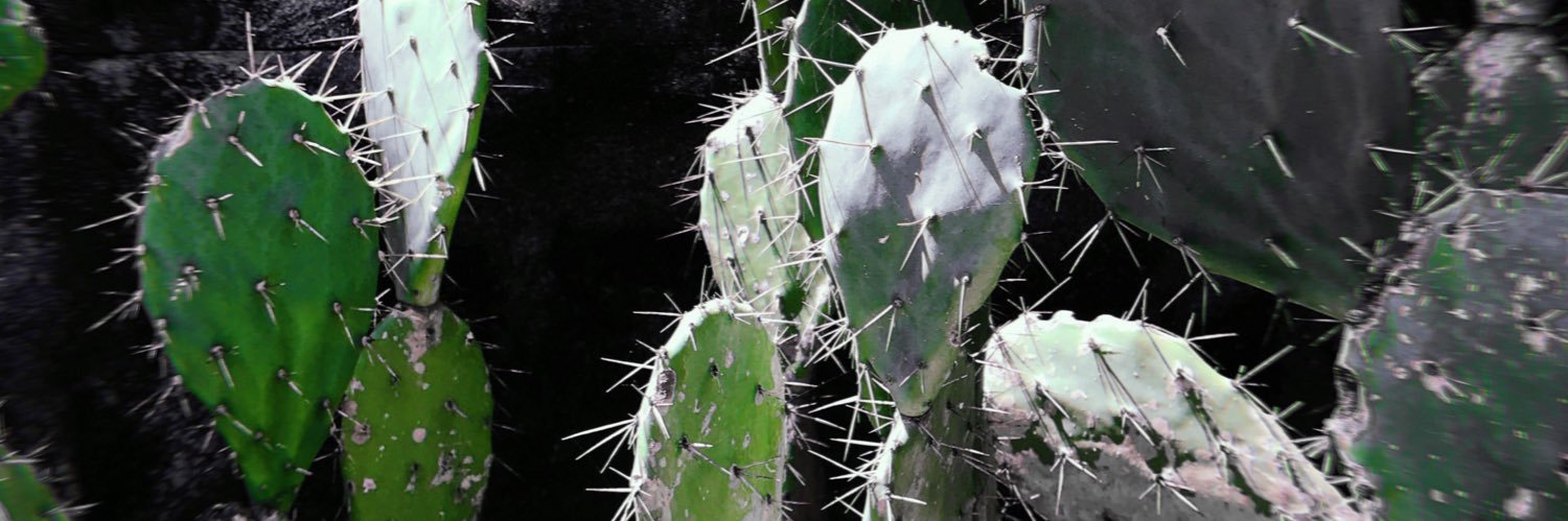 funky_flava's profile banner image