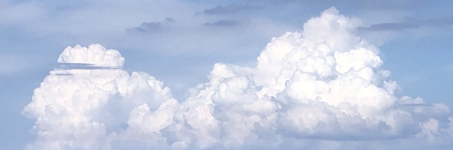 cineutopia's profile banner image
