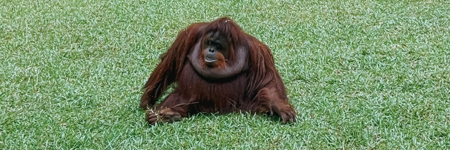 one_Andy's profile banner image