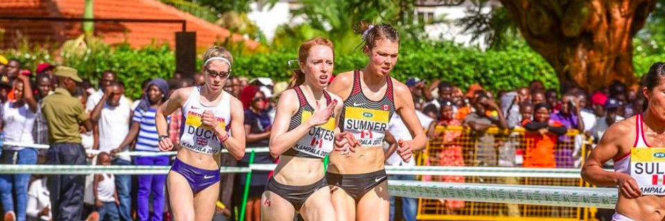 victoriamcoates's profile banner image