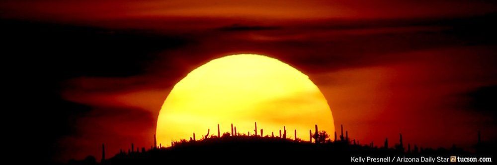 Blake Beckham banner