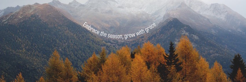 AimeeCotton's profile banner image