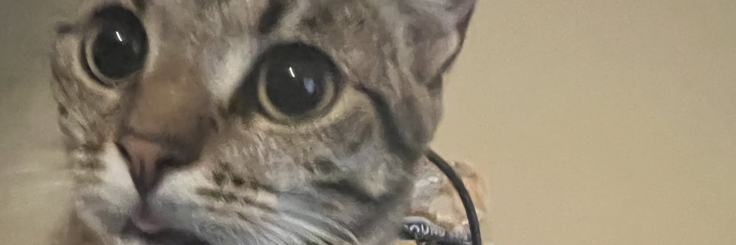 accountgothackd's profile banner image
