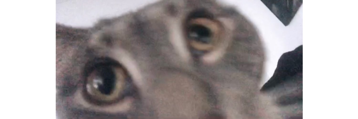 jorDAYUM's profile banner image