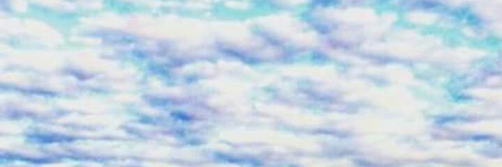 calocali12's profile banner image