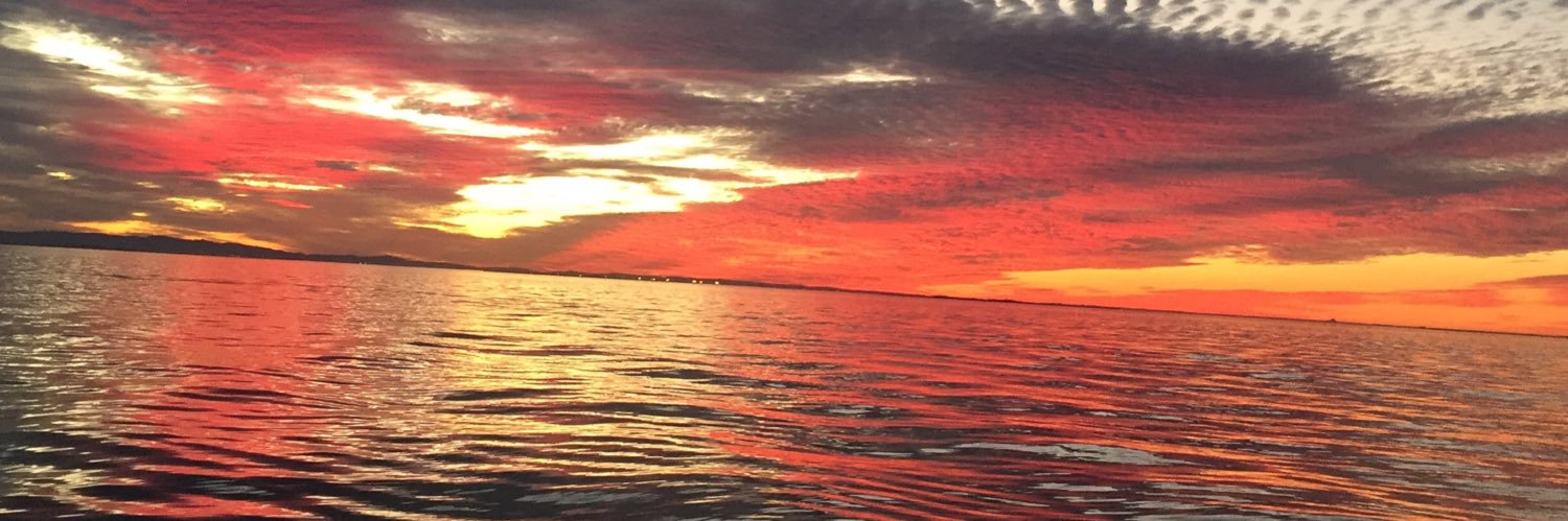 mfinley14's profile banner image