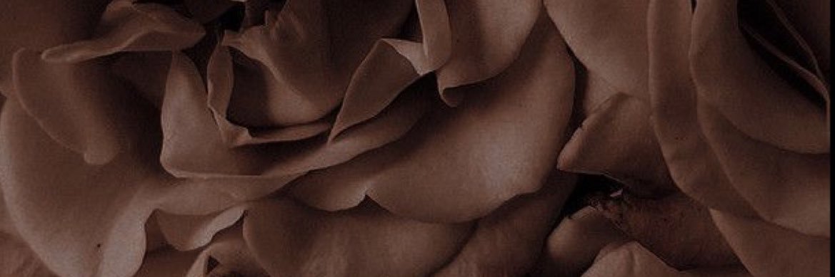 sydneyhaaas's profile banner image