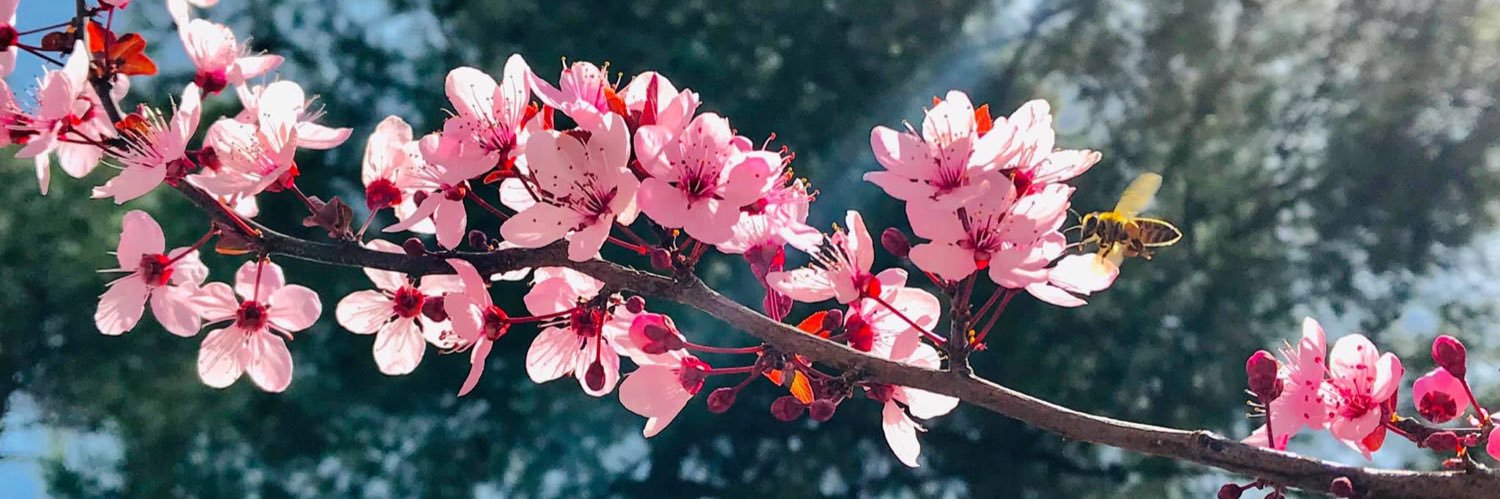 reemosama's profile banner image