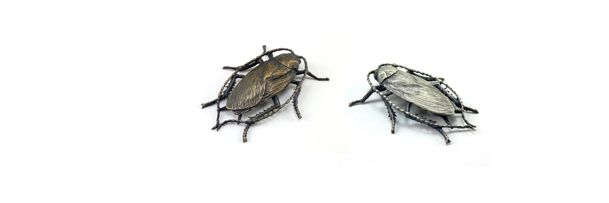 InsectJewelry's profile banner image