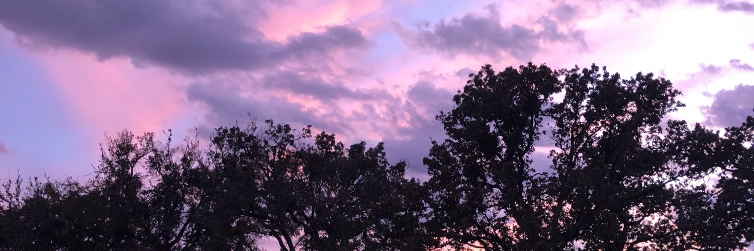 leynabrew's profile banner image