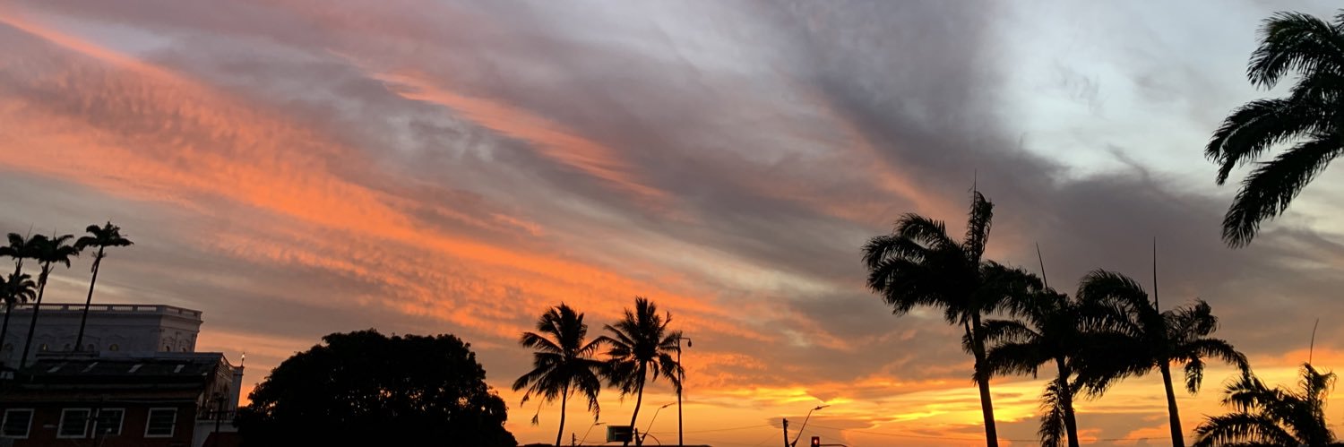 KarenTBarros's profile banner image