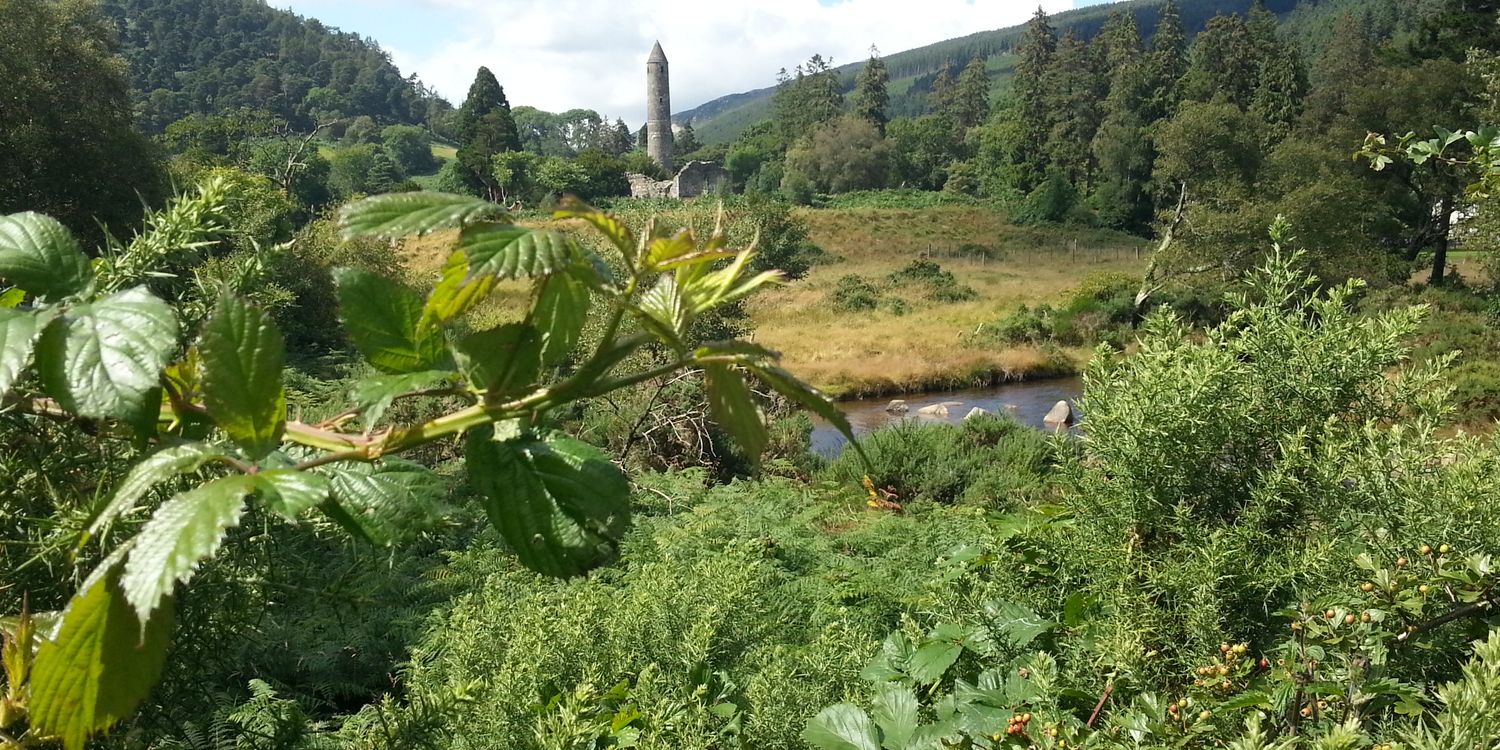 4sams🇮🇪 banner