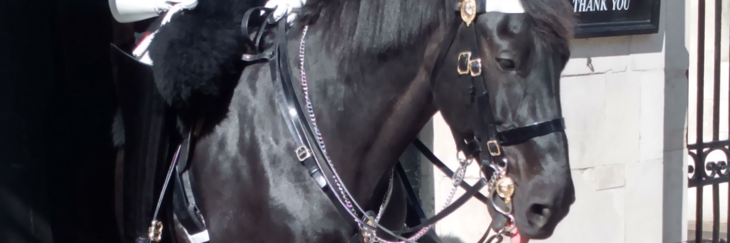 AllanFox3's profile banner image