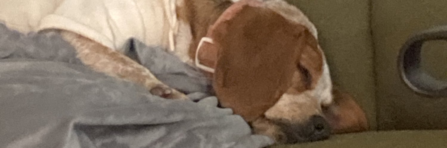 sydstap24's profile banner image