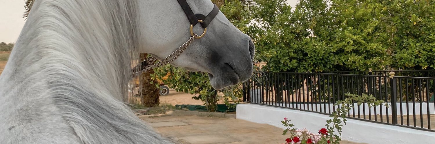 skaker__'s profile banner image